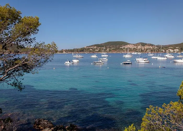 Climatise Pour 3 Pers, A 50m De La Plage, Centre-ville Saint-raphael, Wifi, Parking Dispo - Fr-1-466a-38 Apartmán *